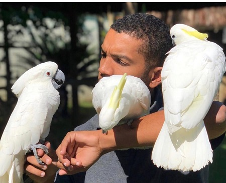 John Barreto fala sobre seu amor e cuidado com aves