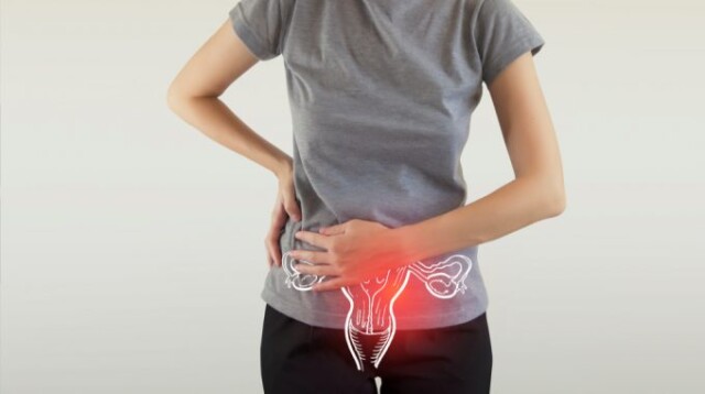 Climatério e os desequilíbrios hormonais na perimenopausa