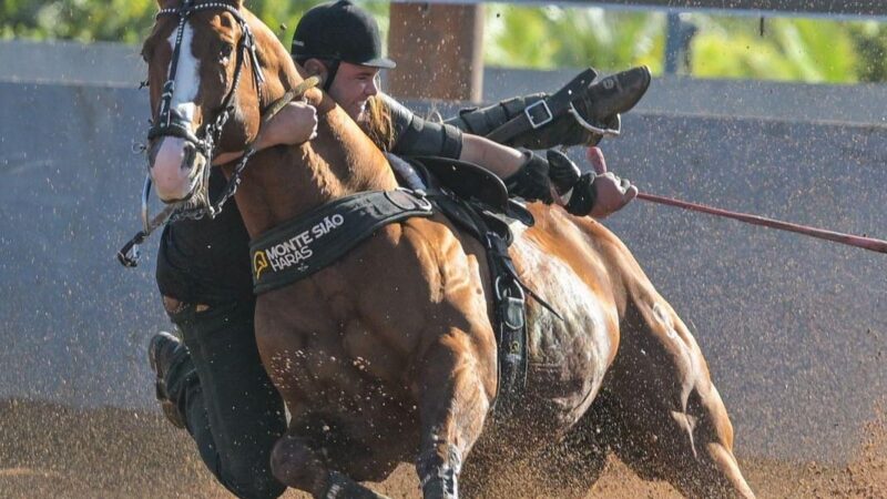 Cavalo Inquestionável leva Monte Sião Haras à liderança no maior campeonato de vaquejada do Brasil